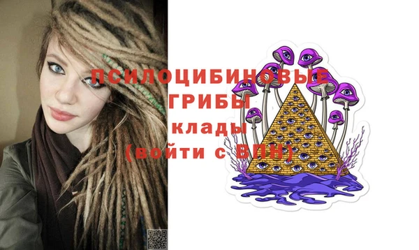 МДМА Каменка
